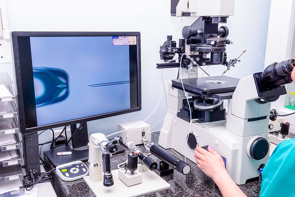 IVF laboratory